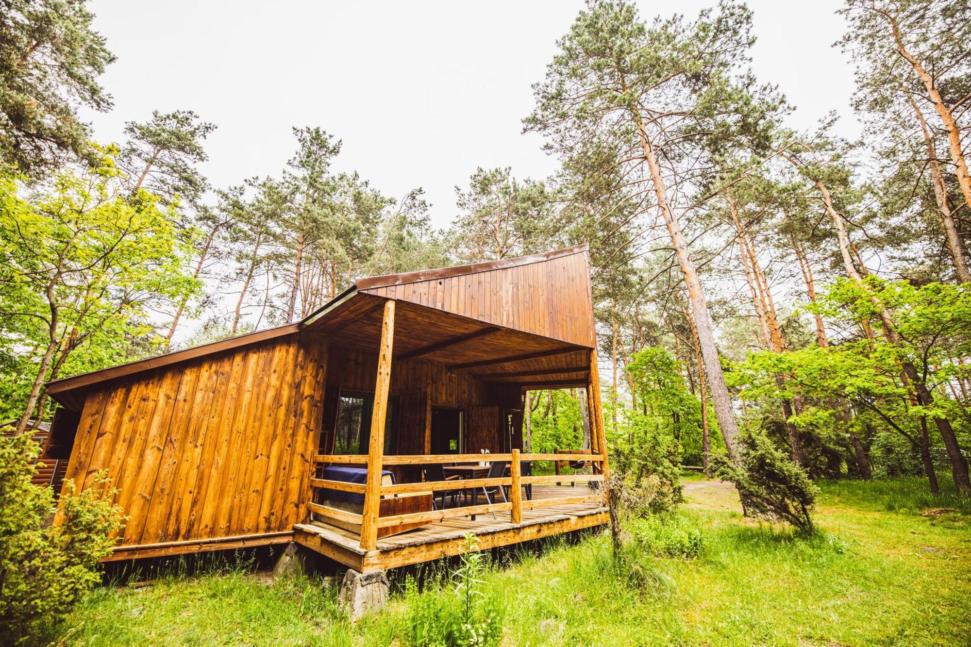Cozy Nature Retreat With Patio Fireplace Garden Maciejowice Dış mekan fotoğraf