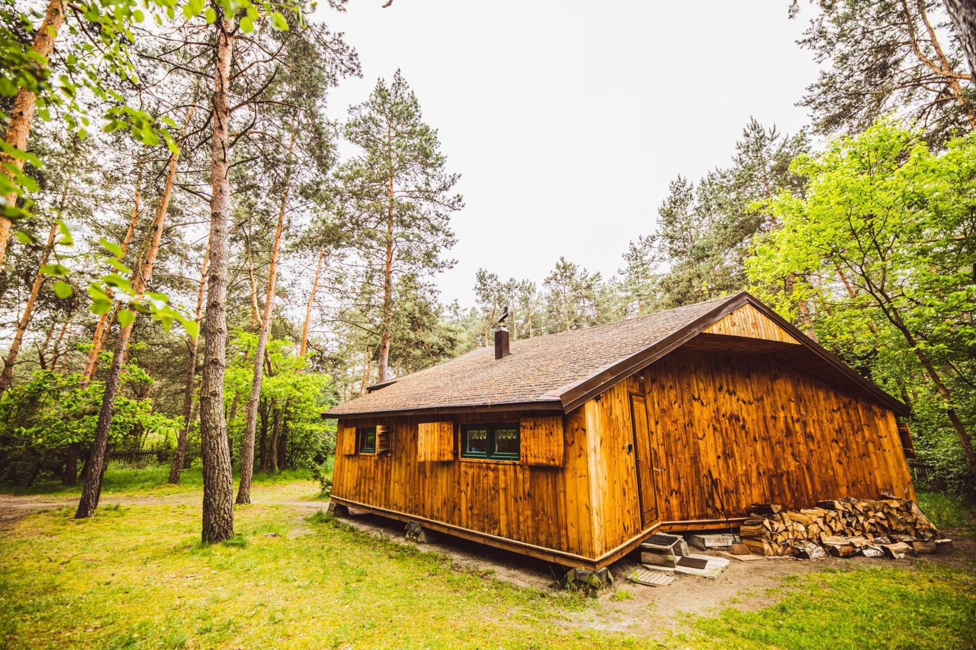 Cozy Nature Retreat With Patio Fireplace Garden Maciejowice Dış mekan fotoğraf
