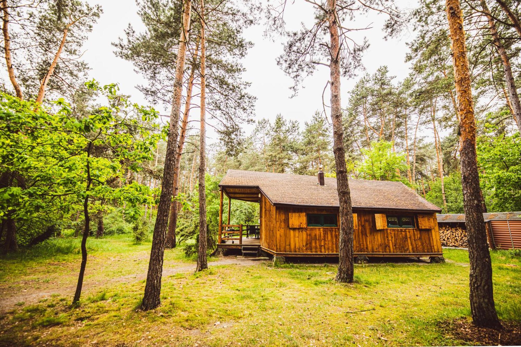 Cozy Nature Retreat With Patio Fireplace Garden Maciejowice Dış mekan fotoğraf
