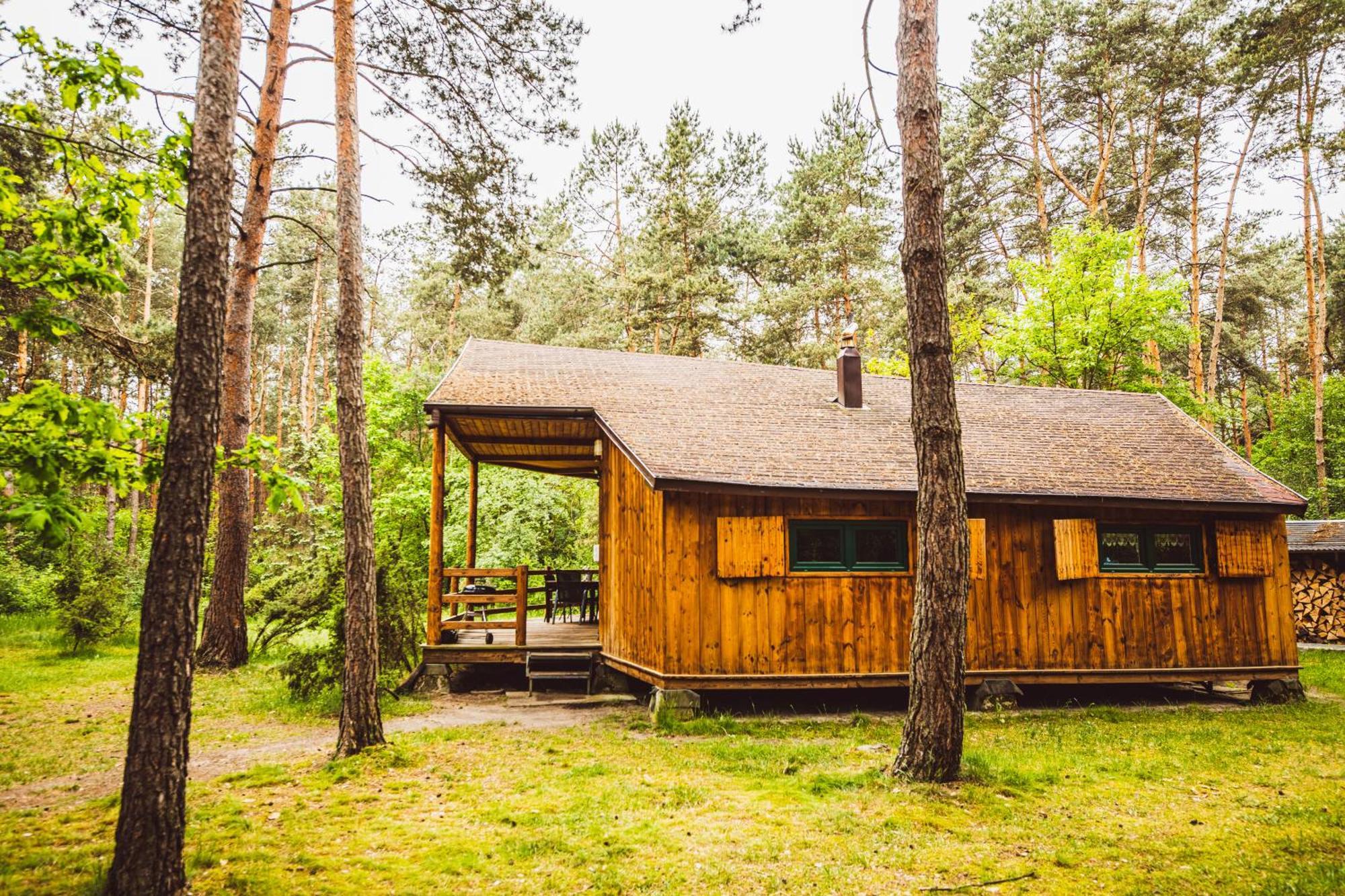 Cozy Nature Retreat With Patio Fireplace Garden Maciejowice Dış mekan fotoğraf