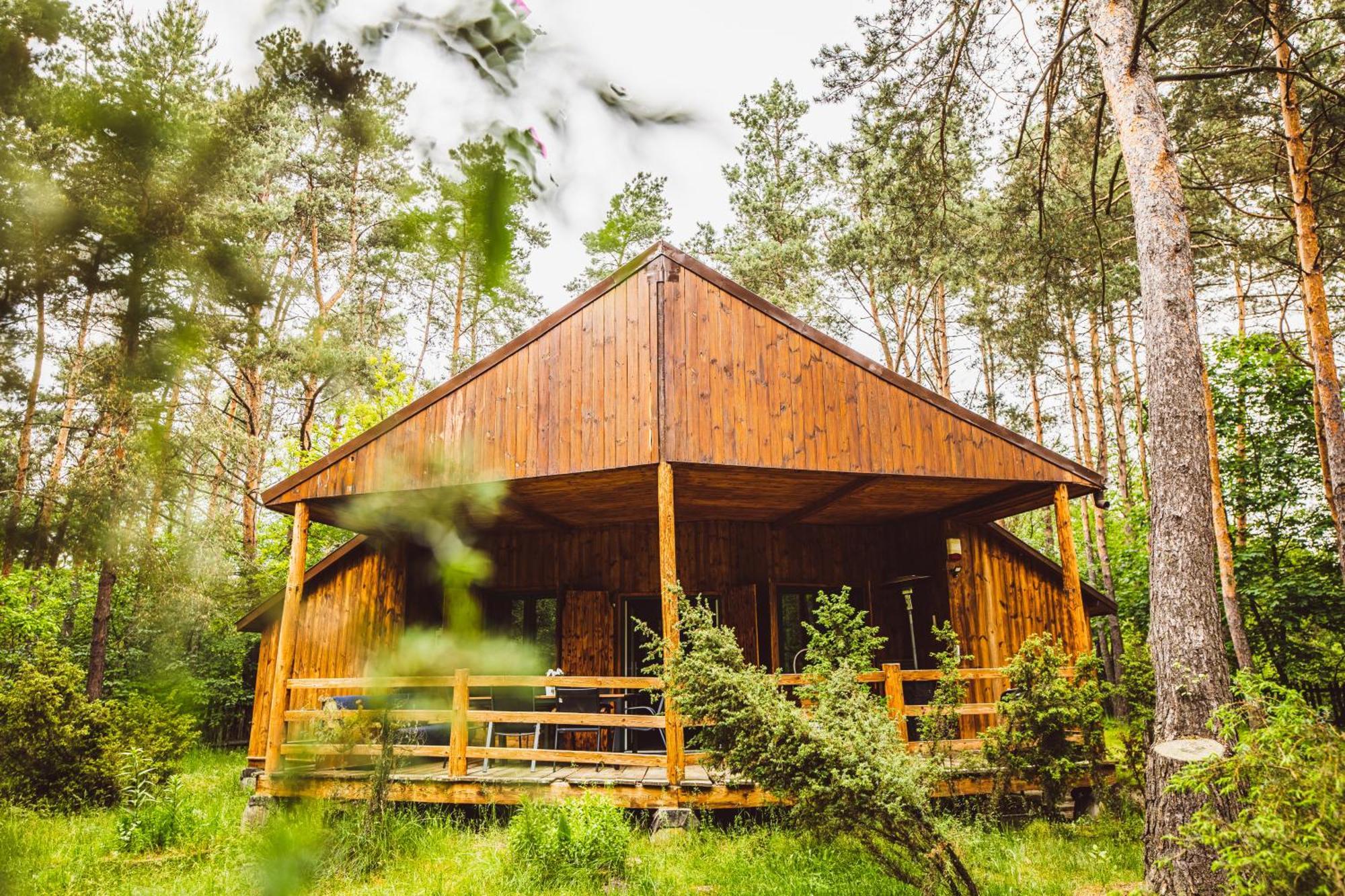 Cozy Nature Retreat With Patio Fireplace Garden Maciejowice Dış mekan fotoğraf