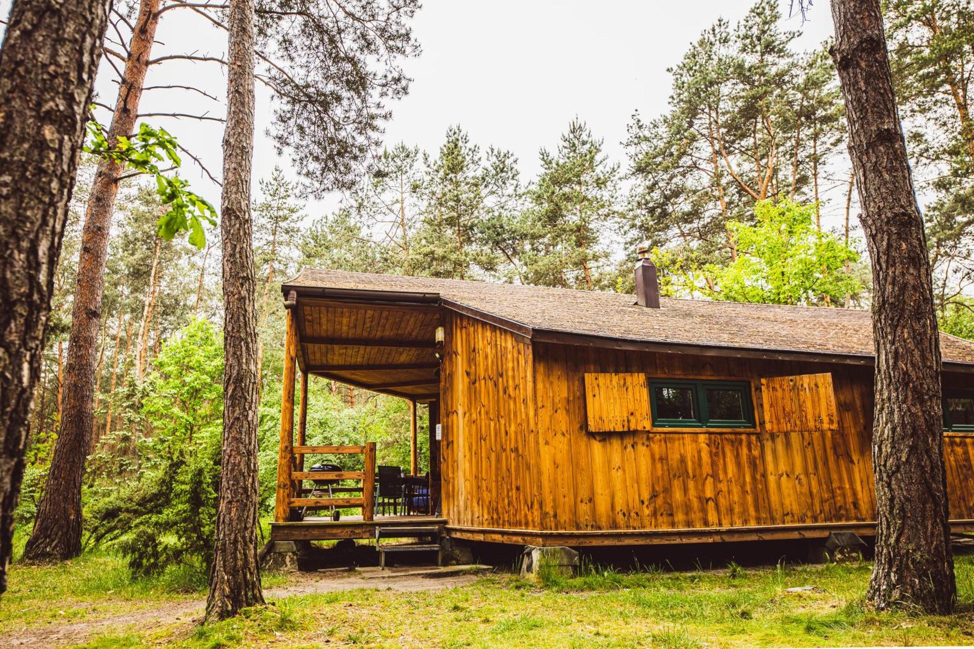 Cozy Nature Retreat With Patio Fireplace Garden Maciejowice Dış mekan fotoğraf