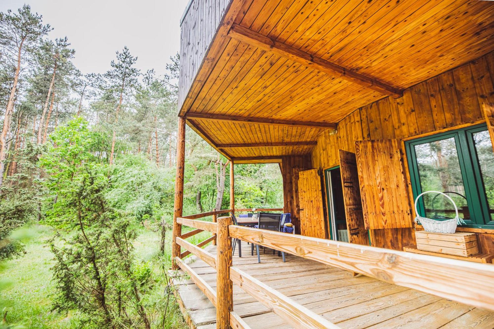Cozy Nature Retreat With Patio Fireplace Garden Maciejowice Dış mekan fotoğraf