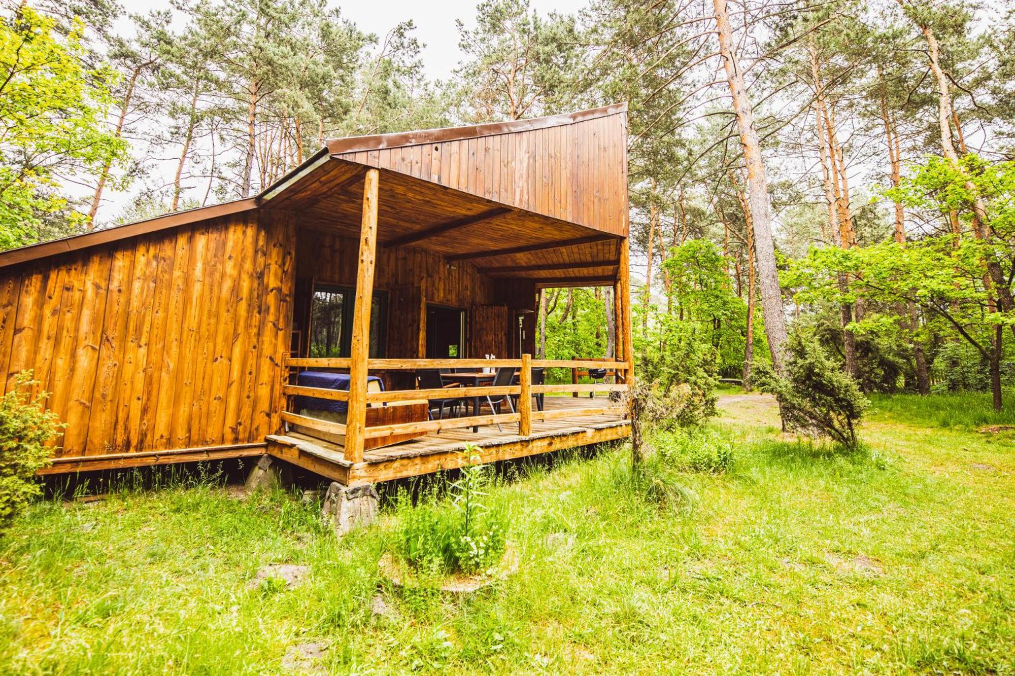 Cozy Nature Retreat With Patio Fireplace Garden Maciejowice Dış mekan fotoğraf
